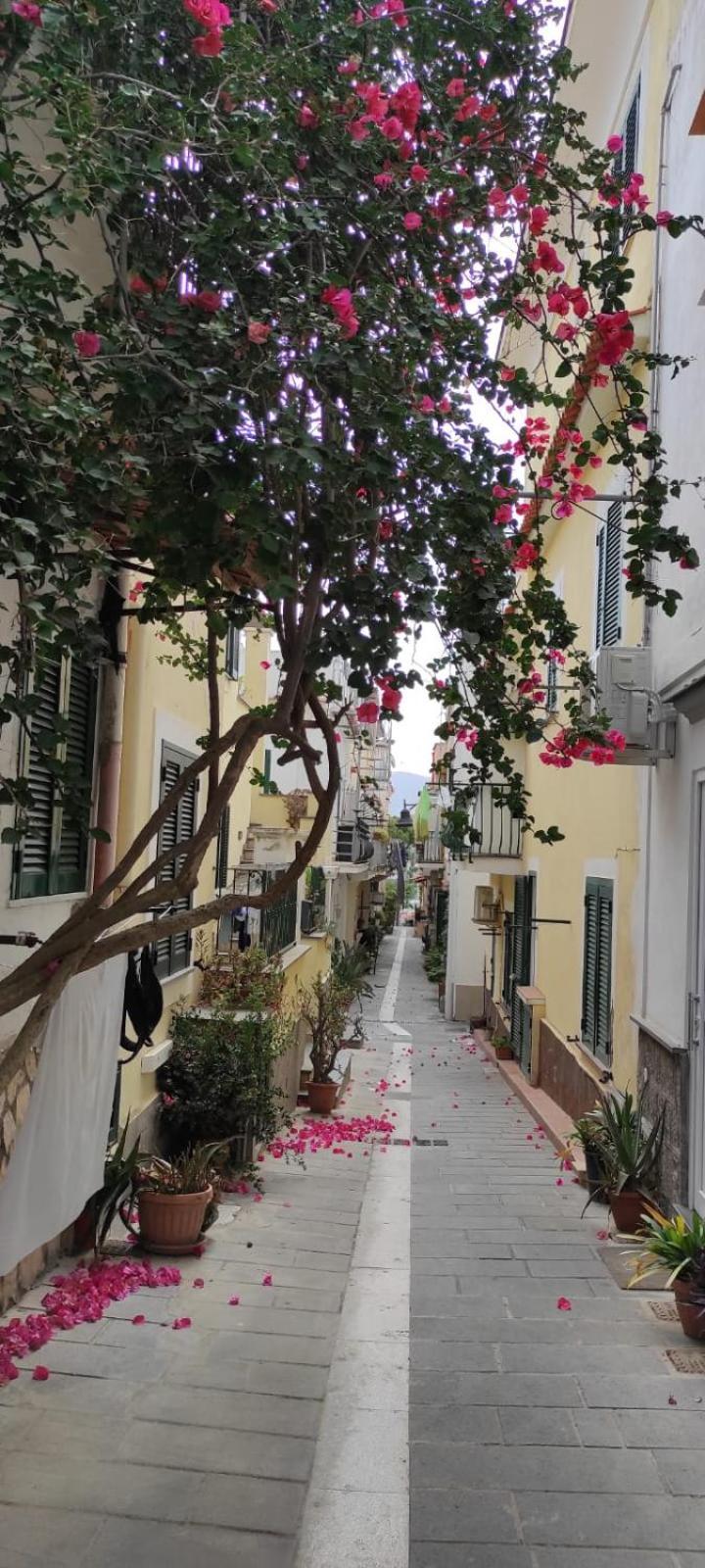 La Casa Rosa Di Giulia Vila Ísquia Exterior foto